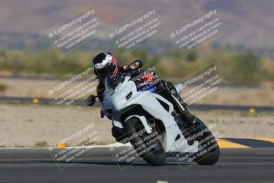 media/Nov-12-2023-SoCal Trackdays (Sun) [[5d1fba4e7d]]/Turn 14 (1035am)/